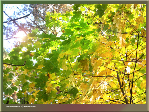 35172 (a): :1280x960